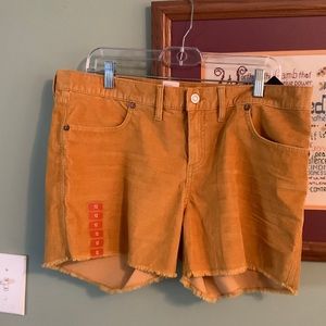GAP Yellow Corduroy Shorts